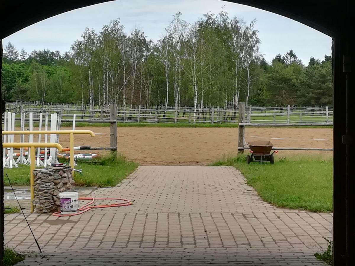 Pensjonat Przy Stajni Kierzkowo  Exteriér fotografie